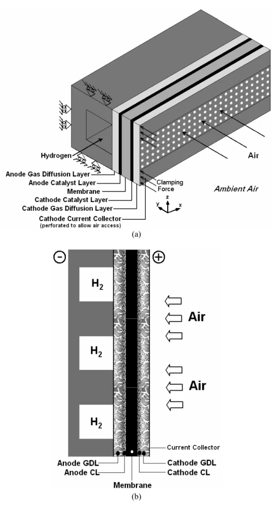 Figure 1. (a) Three-dimensional computational domain of a planar ambient air-breathing PEM fuel cell  and (b) longitudinal cross section of 3-cell fuel cell stack 