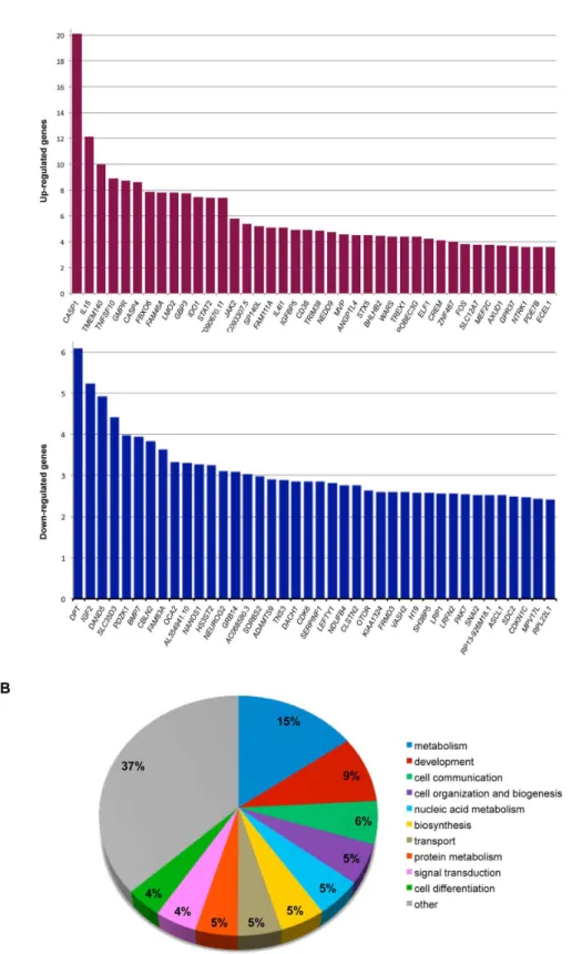 Figure  2.    Overview  of  differentially  expressed  genes  after  TCF4  knockdown.    (A)  Top  40  upregulated  (upper  panel)  and downregulated  (lower  panel)  genes  after  FDR  correction  (0.01)  ranked  by  fold  change