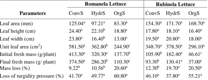 Table  1.  Physical  parameters  of  the  lettuces  cv.  Romanela  and  cv.  Rubinela  cultivated  in  conventional, hydroponic and organic production systems