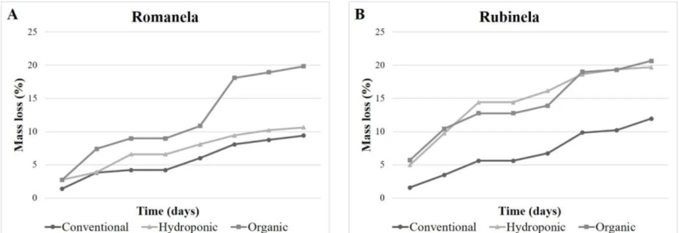 Figure 1. Analysis of the stability of Romanela (A) and Rubinela (B) lettuce during 9 days of  storage