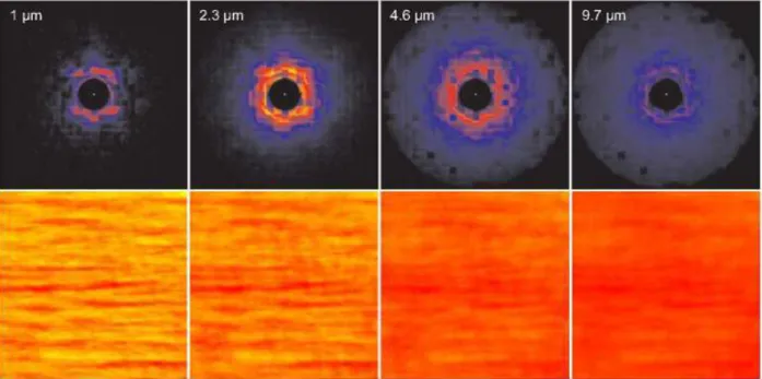 Fig. 11. Simulated images of a torus with the face-on orientation at four different wavelengths in the in- in-frared band (top), and the microlensing magnification maps (bottom) after convolution with the corresponding tori images from the top row (Stalevs