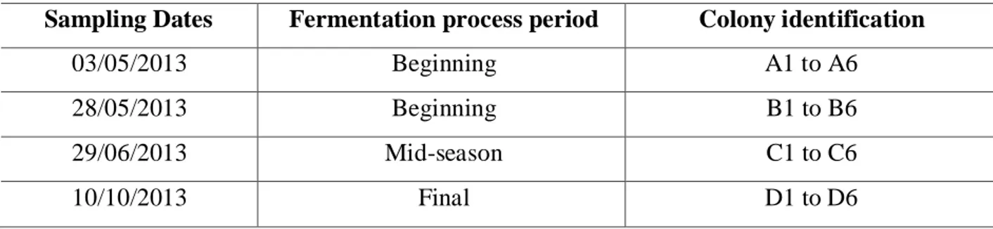 Table 1. Sample dates and identification of the obtained yeast colonies, sampled from an ethanol  producing unit in Brazil, starting in May 2013 to October 2013