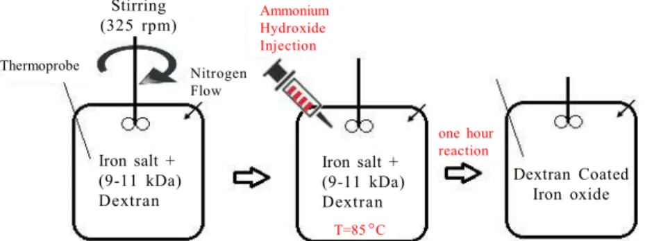 Fig. 1 shows a schematic of one step Dextran coated Iron  oxide  nanoparticle  synthesis  in  which   co-precipitation reaction is completed at 85 o C for an hour after  addition  of  the  reducing  agent  (ammonium hydroxide).