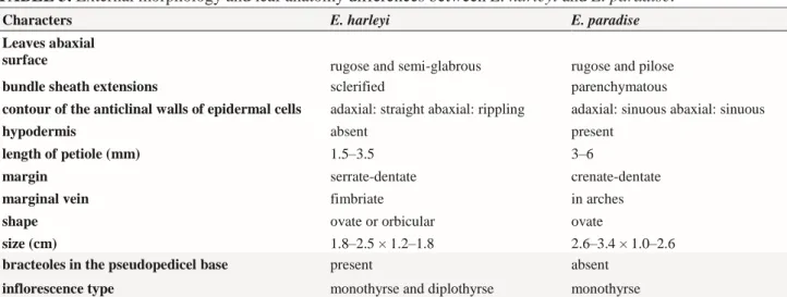 TABLE 3. External morphology and leaf anatomy differences between E. harleyi and E. paradise.