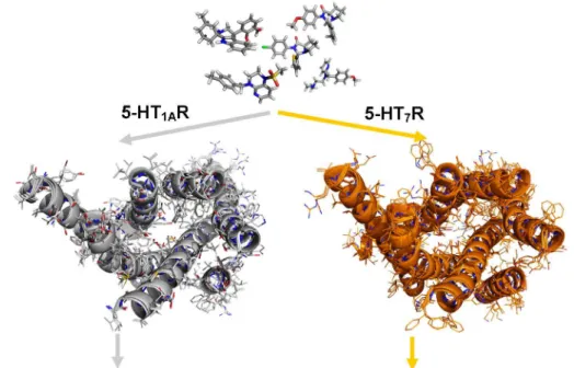 Fig 3. Schematic of the structure-based approach. In the first stage, all subsets of compounds were docked (Glide SP mode) to the three conformations of the 5-HT 1A R and 5-HT 7 R homology models (generated on 5-HT 1B R and D 3 R templates)