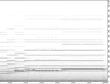 Fig. 10: Sonograma do espectro do canto do Bruant jaune na Meditação VIII, gravação de Daniel Schlee  (OLIVIER Messiaen..., 1995)