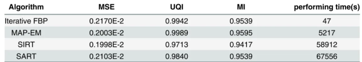 Table 3. The compare of reconstruction performance between SIRT, SART, MAP-EM and Iterative FBP (the image size is 512 × 512 and the angle interval is 0.5°).