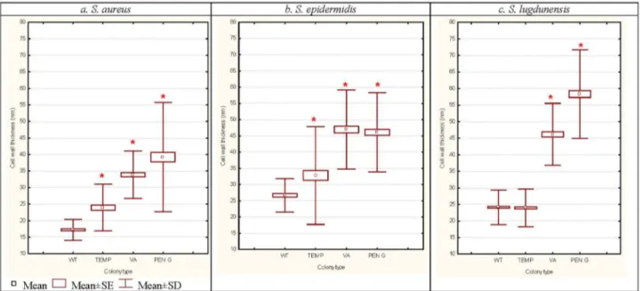 Figure 4.  Comparisons of mean cell-wall thickness (nanometres) from SCV cells generated following exposures to 4°C and antibiotics (VA and Pen G; random concentrations utilised) in comparison with their corresponding WT cells taken from  S