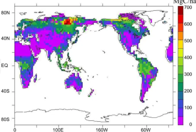 Fig. 6. Terrestrial ecosystem total carbon storage after spin-up.