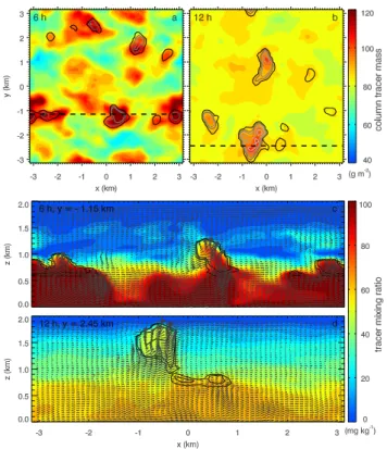 Fig. 3. Snapshots of column integral tracer mass (a and b) and two selected vertical cross sections (c and d)