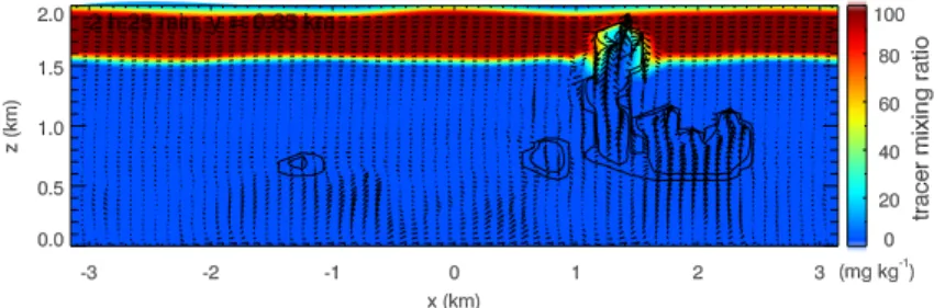 Fig. 7. The cross section of y = 0.65 km at 2 h 25 min in case 2. The contours, arrows and shades have the same meanings as in Figs