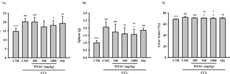 Fig 7. Effect of WFAC on the weights of the liver and spleen and the water content of livers in CCl 4 -intoxicated rat