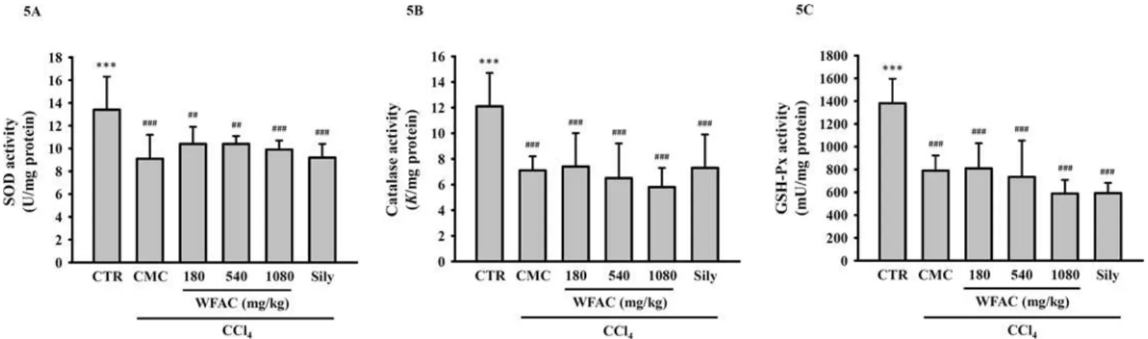 Fig 5. Effect of WFAC on hepatic SOD, catalase and GSH-Px activities in CCl 4 -intoxicated rat