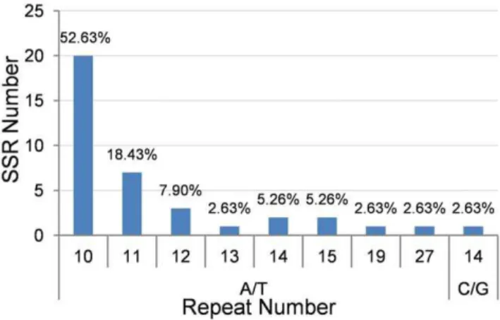 Figure 6. The distribution and frequency of simple sequence repeats in the Artemisia frigida cp genome