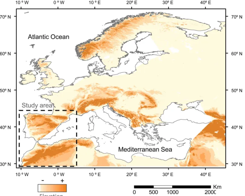 Fig 1. Elevation map of the Western Palaearctic. The study area is located within the stripped square