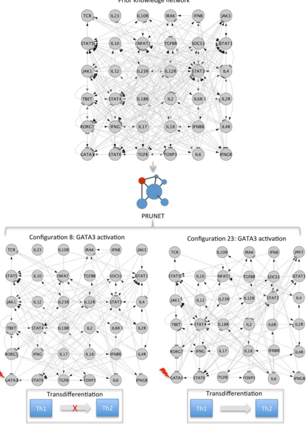 Fig 3. Simulated perturbations on alternative contextualized network may predict different response