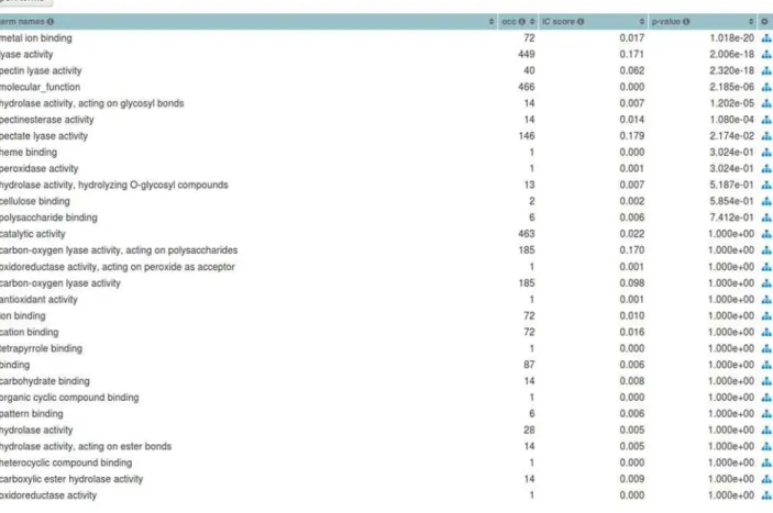 Fig 5. Term statistics for the PL1 Set. Footer table listing the molecular function GO term names and their respective statistics, such as, occurrence (occ), IC-based score and p-value for the PL1 (CAZy family) Set.