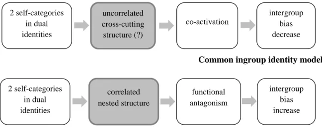 Figure 5. Different correlations and structures between self-categories in dual identities; implications  in cognitive functioning and intergroup bias
