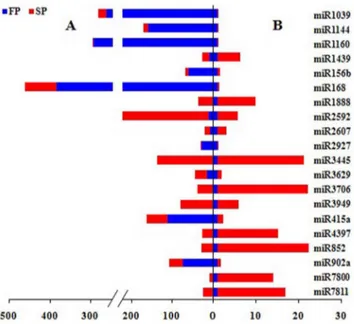 Table 4. Expressed difference of miRNA families in FP and SP R. glutinosa.