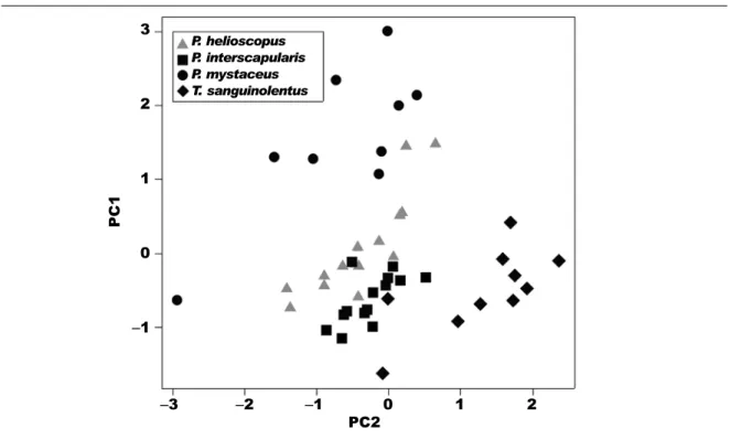 Fig. 3 .  The distribution of four study species along the irst two morphological principal components axes.