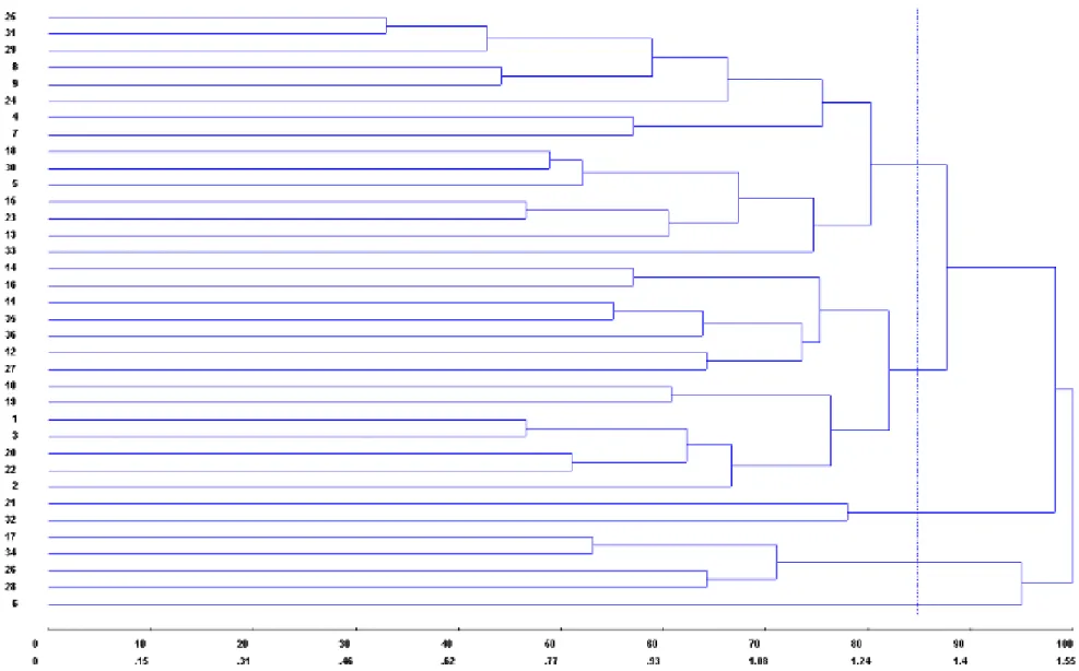 Figure 1. Dendrogram of 36 guarana progenies using the Euclidean genetic distance and the UPGMA grouping method for the variable yield
