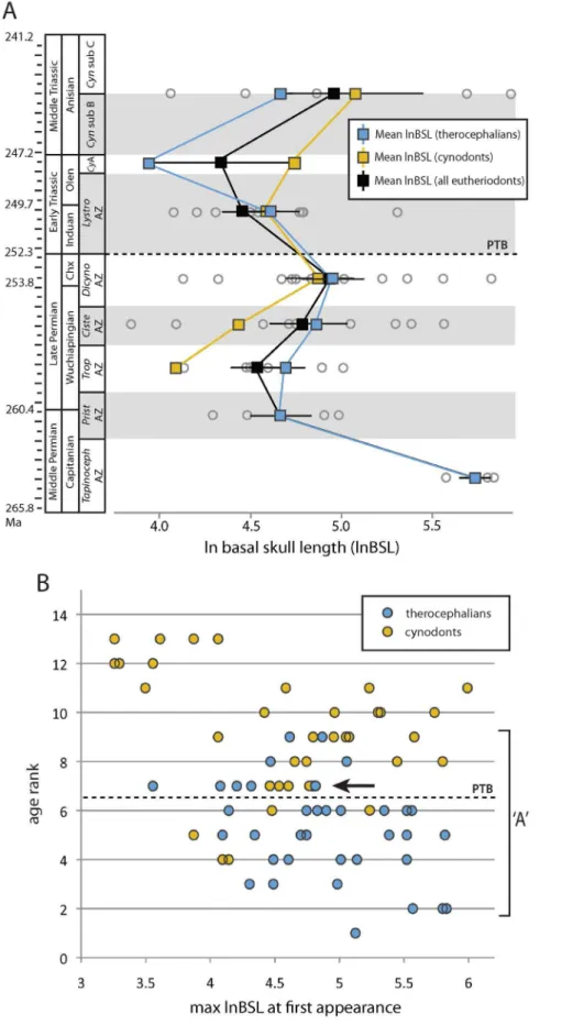 Figure 1. Karoo time series and age rank results for observed geologic distributions of maximum basal skull length (lnBSL)