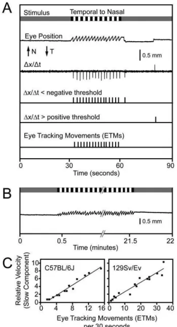 Figure 2. Stimulus, response, and data analysis during an OKR recording session with a wildtype mouse