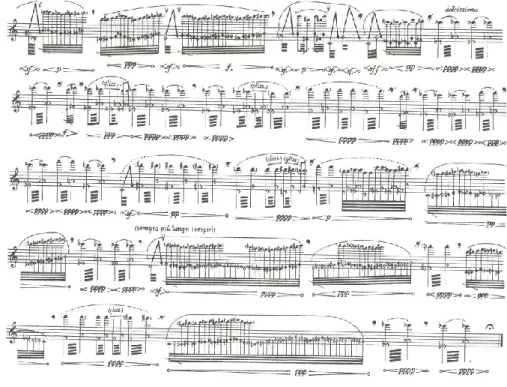 Fig. 6: Forma em janelas e transformação genética (pentagramas 20-24). 