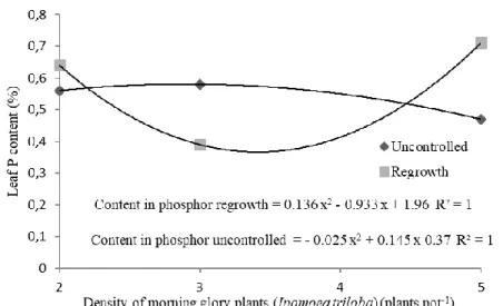 Figure 1. Phosphorus content in the dry mass of Ipomoea triloba plants as a function of weed  density and management (regrowth and uncontrolled)