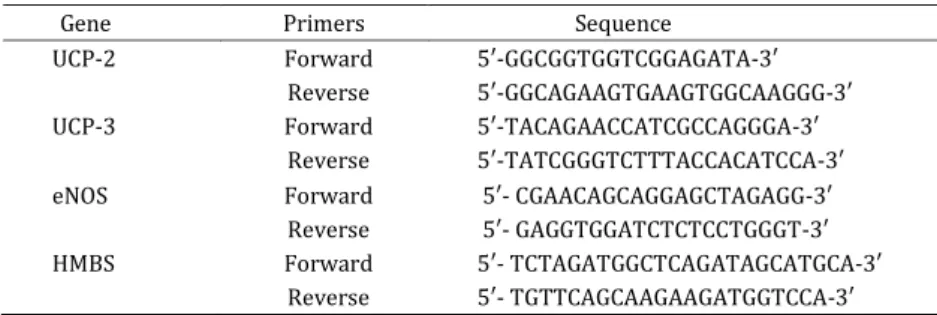 Figure 1. Relative abundance of endothelial nitric oxide (eNOS) mRNA in rat cardiac muscle in response to an acute bout of high-intensity  interval  training (HIIT,  AT1),  short  term  HIIT  for  3 and 5 bouts  (ST3 and ST5), and long  term  HIIT  for  8 