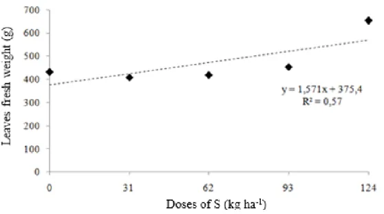 Figure 1. Fresh weight of the broccoli inflorescence in function of the sulfur doses in coverage