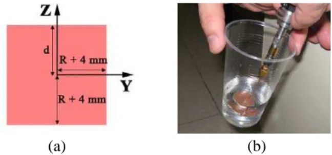 Figure 3. (a) Tissue-box used in the proposed dual-band antenna design methodology, and (b) equivalent phantom used for experimental validation.