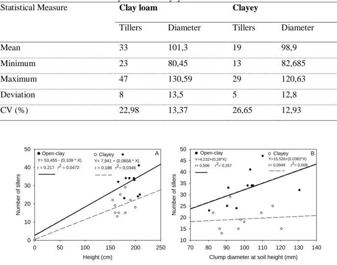 Figure 3. Graphic of linear correlation and regression of the vetiver grass in clay loam and clayey  soils: A) Number of vetiver tillers and height; B) Number of tillers and clump diameter  at soil height, Inconfidentes/MG, 2015