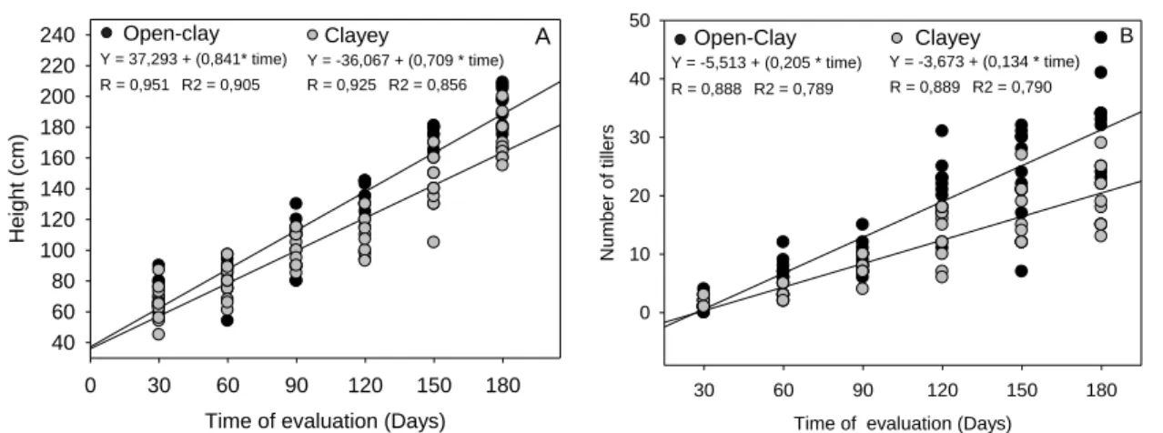 Figure 2. Graphic of linear dispersion of the vetiver grass development in clay loam and clayey  soils:  A)  Height  in  cm  and  time  of  evaluation;  B)  Number  of  tillers  and  time  of  evaluation, Inconfidentes/MG, 2015