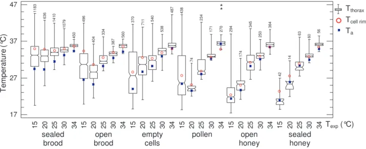 Figure 2. Worker honeybee thorax temperature on different locations in the observation colonies in dependence on cold stress (T exp )