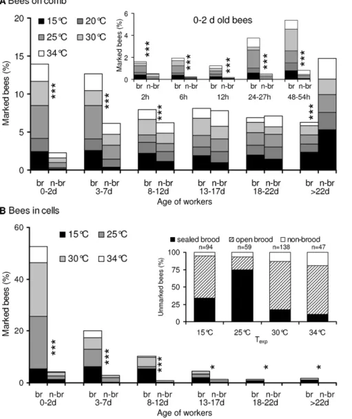 Fig. 5). The percentage of probably endothermic bees on the combs increased with cold stress in all age classes and at all investigated levels of endothermy on the brood nest as well as outside it (Fig