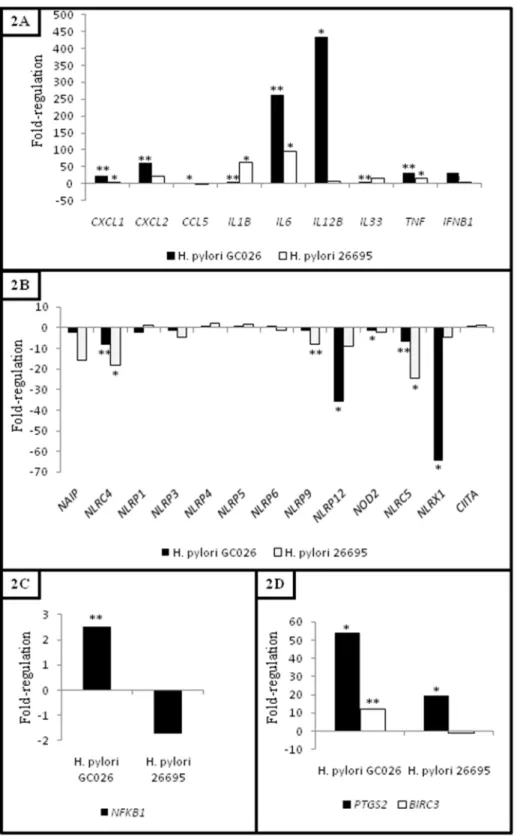 Figure 1. Helicobacter pylori up-regulates NFKB1 and NF- k B target genes, and down-regulates NF- k B-negative regulators