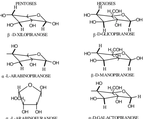 Figura 2.2. Representação de algumas estruturas de unidades químicas que constituem a  hemicelulose (PALMQVIST; HAHN-HAGERDAL, 2000)