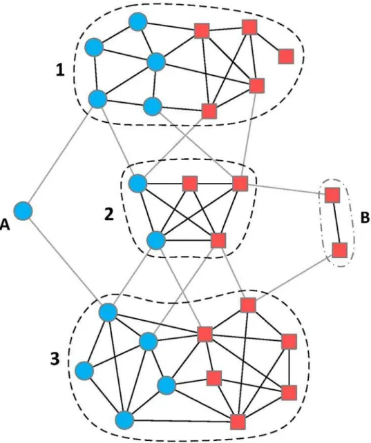 Fig 1. An illustration of a chemical-gene heterogeneous network. The blue nodes are chemical constituents and the red nodes represent potential gene targets