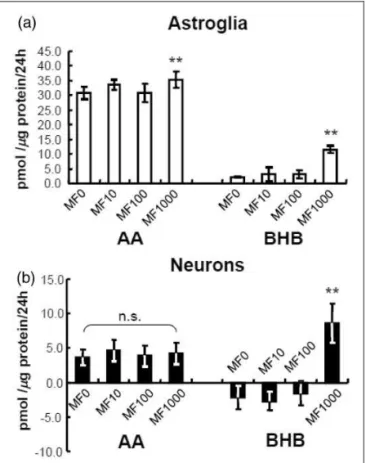 Figure 2. Effects of metformin (MF) on ketogenesis from palmitic acid by neurons and astroglia.
