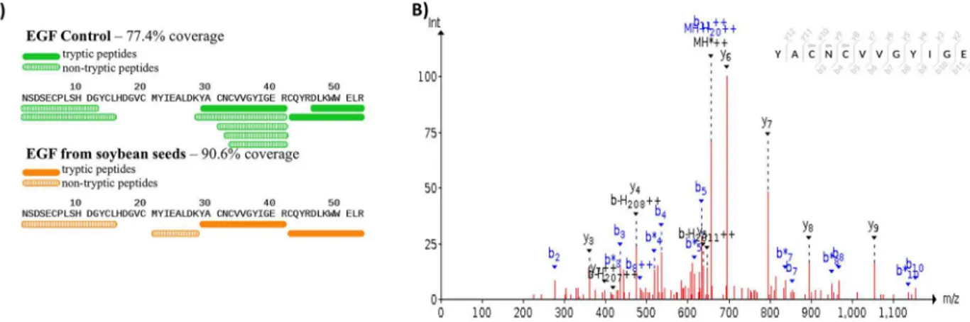 Fig 4. Mass spectroscopy data to detect the presence of EGF peptides in transgenic EGF soybean seeds