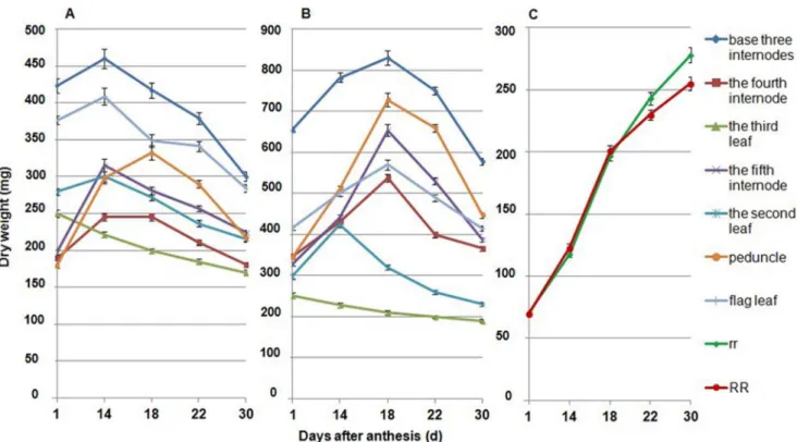 Figure 5. Dynamic changes in dry weight of different organs in the main shoot after anthesis in the AS experiment