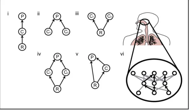 Figure 1. Common community modules in both free-living and in-host systems. P = predator (e.g