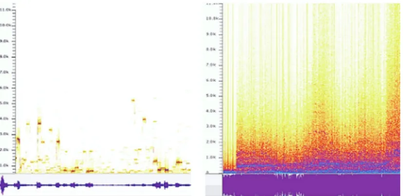 Fig. 5: Sonogram (top) and waveform (bottom) of two audio recordings from sound  outputs generated by dance movements (left) and drawing mappings (right)