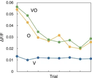 Figure 3. Activity changes with a rewarded odour. The development of the activity of the mushroom body as a response to an unrewarded unimodal visual stimulus (V), a rewarded unimodal odour stimulus (O+), and an unrewarded multimodal stimulus (VO).