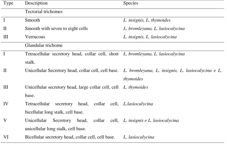 Table 1. Description and occurrence of tectorial and glandular trichomes in Lippia native species from  semi-arid regions of Bahia, Brazil and cultivated at the “Horto Florestal Experimental” Unit  of the State University of Feira de Santana (UEFS), Bahia 