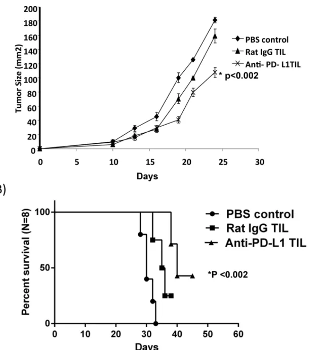 Fig 5. PD-L1 blockade improves the anti-tumor efficacy of TIL in vivo . A) Mice received MC-38 tumor cells on day 0 followed by 600 rad TBI on day 3