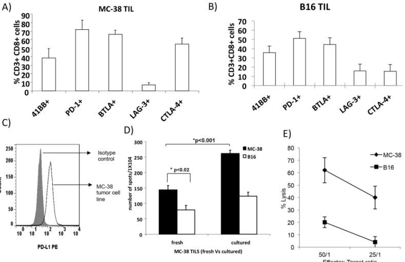 Fig 2. Expression of immune checkpoint receptors on MC-38 and B16 TIL. A&amp;B) Flow cytometry analysis of PD-1, CTLA-4, BTLA, and LAG-3 expression on MC-38 (A) and B16 (B) TIL; C) PD-L1 expression on MC-38 tumor cells; D) fresh or cultured MC-38 TIL were 