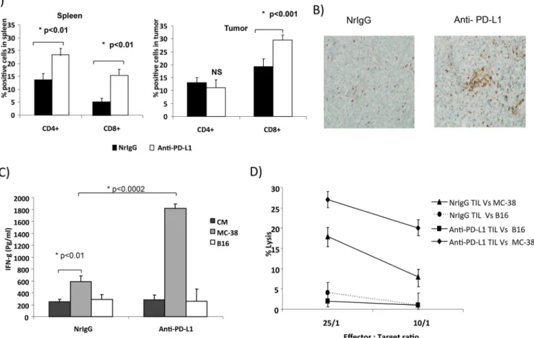 Fig 4. PD-L1 blockade increases T cell infiltration and enhances cytotoxic function of TIL