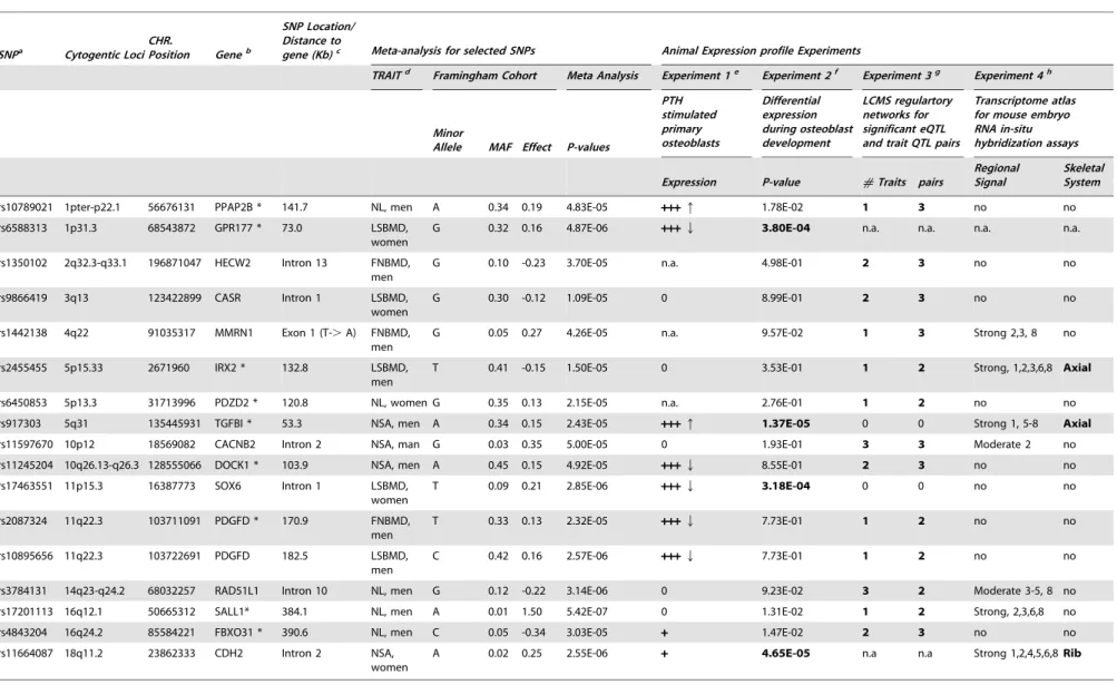 Table 4. Prioritized suggestive genome-wide loci based on mice experiments of Likelihood-based Causality Model Selection (LCMS) regulatory network analyses, gene expression signature profiles in osteoblasts, and transcriptome atlas of mouse embryos.